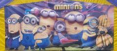 Minn banner Minn banner