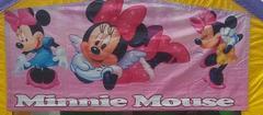 minni banner minni banner