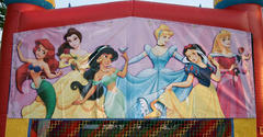 Princesses Version One Banner Princesses Version One Banner