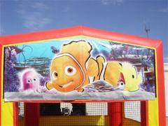 Finding Fish Banner Finding Fish Banner